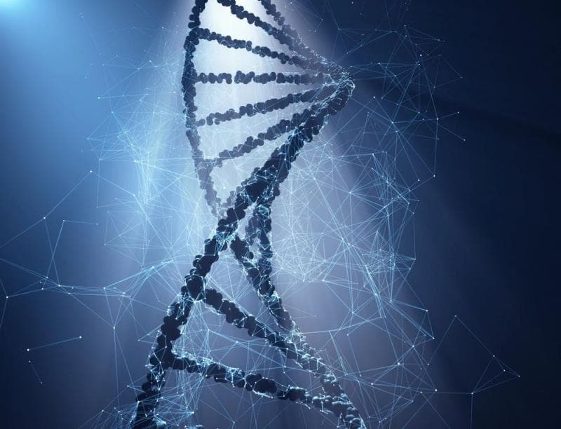 Geneie - AI DNA Variant Prediction